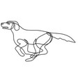 labrador retriever dog running side view vector image