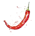watercolor red chili pepper vector image
