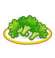 a plate with green broccoli vector image vector image