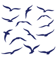 seagull silhouettes vector image