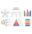 infographic templates vector image