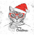 christmas hipster fashion animal cat vector image