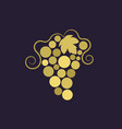 golden grapevine with leaf grapes icon vector image