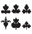 decorative black leaves pattern set isolated vector image