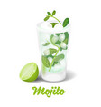 cocktail mojito vector image