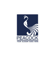peacock bird icon vector image