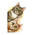 cats wall sticker graphic colored hand-drawn vector image vector image
