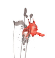 watercolor wild cat lynx vector image