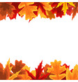 autumn natural leaves background eps10 vector image