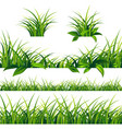spring green grass borders set vector image