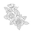 beautiful black and white bouquet rose and leaves vector image
