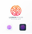 brain connect logo design ready to use vector image