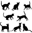 cats silhouettes collection vector image