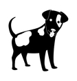 dog face icon vector image