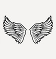 pair bird wings with feathers for design vector image