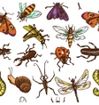 insects sketch seamless pattern color vector image