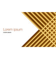 background with abstract stripes and lines vector image vector image