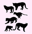 lion wild animal silhouettes vector image vector image