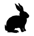 silhouette of a sitting up rabbit vector image
