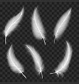 curved white feathers vector image vector image