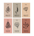 hand drawn vintage floral banner set sketch retro vector image