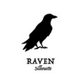 standing raven silhouette in halloween elements vector image