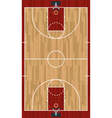 basketball court vector image vector image