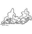 drawing of bushes and boulders in the grass vector image vector image