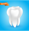 white healthy and clean human tooth 3d style vect vector image