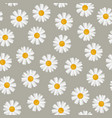 daisy seamless pattern vector image