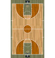 basketball court vector image vector image