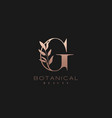 Letter a botanical elegant minimalist signature Vector Image