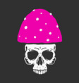 amanita muscaria like a skull vector image vector image