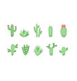 set cute cactus and succulents vector image