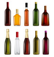 realistic alcohol bottle isolated set on white vector image
