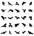 flying birds silhouettes set vector image