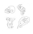 cute cartoon sleeping gnomes forest elves vector image