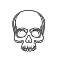 human skull isolated on black color object vector image vector image
