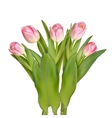 tulips decorative border eps 10 vector image vector image