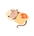 cute opossum sleeping in bed adorable wild animal vector image vector image