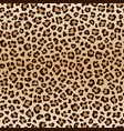 seamless animal leopard pattern vector image