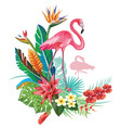 tropical decoration with flamingoes and trop vector image