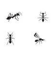 ant logo template design vector image