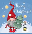 cute cartoon gnome with christmas tree on a blue vector image
