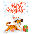 christmas card with cute tiger and lettering vector image