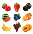 fresh fruit 3d icons set realistic vector image vector image