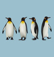 pinguins realistic arctic fauna wild animals vector image vector image