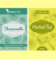 chamomile herbal tea detox and healthy dieting vector image