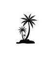 palm tree summer logo template vector image