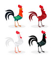 colorful roosters set isolated on white background vector image vector image